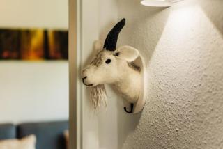 Harzglanz FeWo's HARZbock - Braunlage - 9