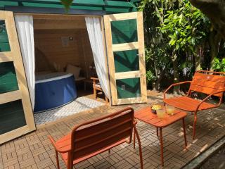 Escale Cosy à Pontoise Jacuzzi et terrasse - Pontoise - 9