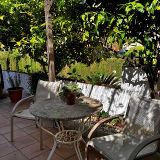 Estudio limonero en Sant Cebriá de Vallalta 20' playa - 7