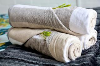 Cozy Garden Cottage - Durbanville, Cape Town - 3