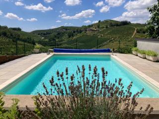 Villa Barbara - Slow Wine Estate with Pool and Panoramic Views on Wineyards - Canale - 1