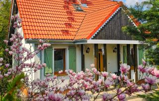 Beautiful Home In Podwilczyn With Sauna - 9