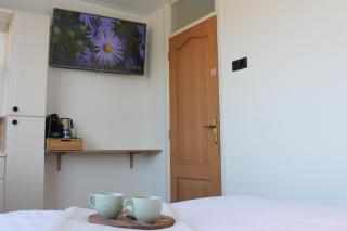 Estrela Do Norte - 7