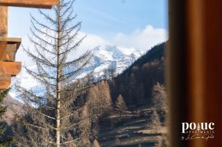 Maison del Bosco - Poluc Apartments bilocale - Champoluc - 4