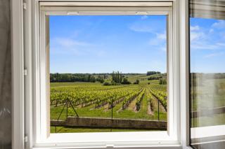 Au cœur des vignes - 2