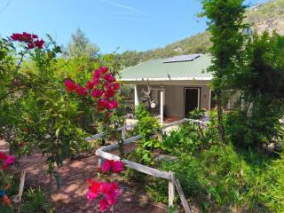 Gelidonia Fenerium Holiday Home - 9