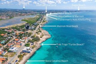 Pelican Beach House by Bocobay Seafront LUX 4BD - Palm-Eagle Beach - 3