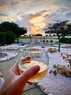Pelican Beach House by Bocobay Seafront LUX 4BD - Palm-Eagle Beach - 8