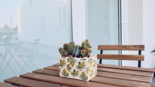 Donna Flavia summer relax - Arenella - 5
