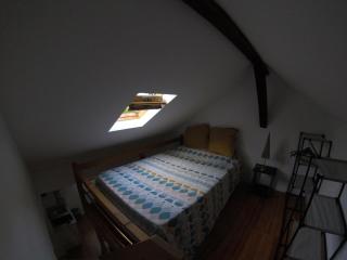 Studio mezzanine des Eaux Vives - Pau - 1