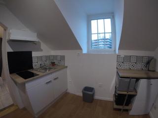 Studio mezzanine des Eaux Vives - 7