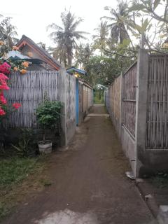 Exotic house - 5