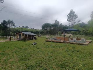 Domaine des anges - Tourves - 6