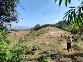 Saneehaa Homestay Resort - 1