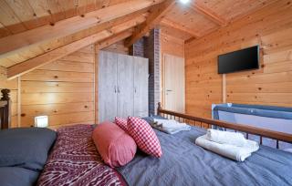 Villa Nina by Villas Guide - Ludbreg - 1