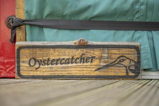 Oystercatcher - 7
