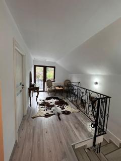 Casa Luminița - Vama Buzăului - 3