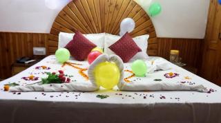 Hotel Him Parvat - 4