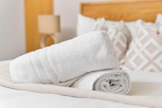 New Luxury 2 Bedroom Apartment - Juliet Balcony - Fast WiFi - Netflix 706SW - 1