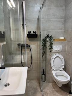 The Oasis Suite, Vidik - Valjevo - 2