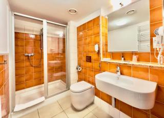 Hotel Słoneczny Młyn - Bydgoszcz - 5