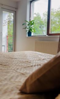 Apt luminos cu parcare inclusa aproape de Univ, Spitale, Centru - Cluj-Napoca - 7