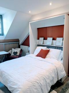 Le Cocon du Chardon - Annecy - 5
