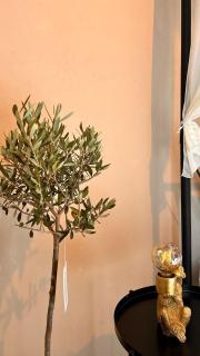 O Desirs Des Sens - 3