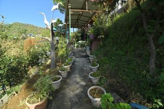 Shaantvan Homestay-Near Bhalughar Waterfall-Mukteshwar - Mukteswar - 6