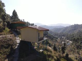 Shaantvan Homestay-Near Bhalughar Waterfall-Mukteshwar - Mukteswar - 8