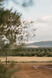 Apartamentos Turísticos La Teja - 8