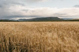 Apartamentos Turísticos La Teja - 1