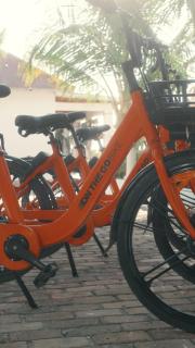 Coral Cliff Villas Zanzibar - 2