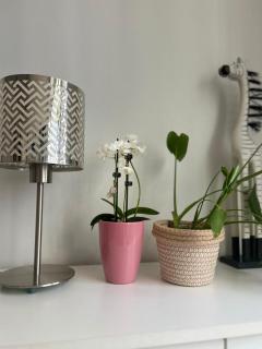 Studio Apartment Michelle - Dubrovnik - 8