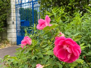 Gite Le Chant des Roses et Gite Les Oiseaux Fleuris - Giverny - 0
