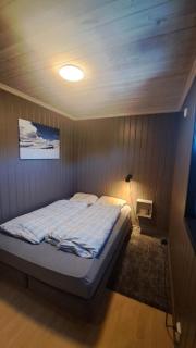 Cozy Cottage in Rauland Vierli - Torvetjørn - 2
