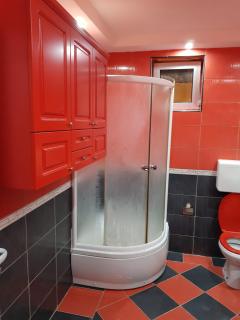 Green Peace Apartman 1 - Kragujevac - 7