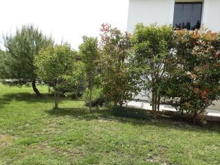M'as de l espine - Eygalières - 3