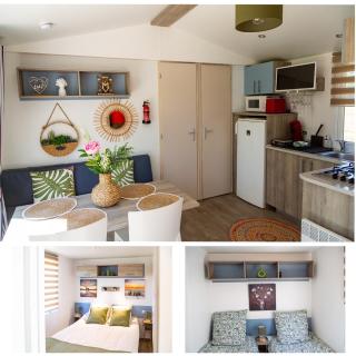 Blue Grass Ranch - MobilHome Cactus - Bischoffsheim - 0