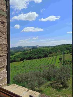 Agriturismo Alla Vecchia Quercia - Pergola - 6
