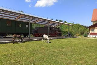 Bahnhof Durlesbach - Bad Waldsee - 5
