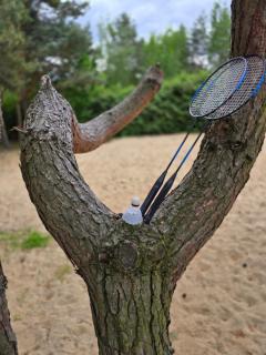 Jemioła Chaty Niedźwiady Małe - 4