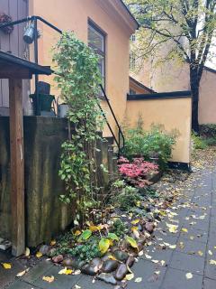 Backyard house in green city inner yard - Stoccolma - 6