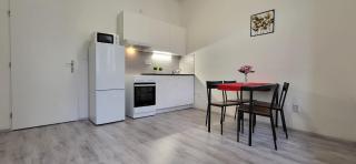 City Center Apartments - Měšťanský dům Minoritská - Brno - 8