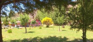 la flor del lugar - Potrerillos - 1