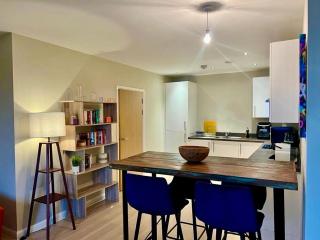 Cosy one bedroom apartment 5 min walk to ABBA voyage venue London stadium - Londra - 4