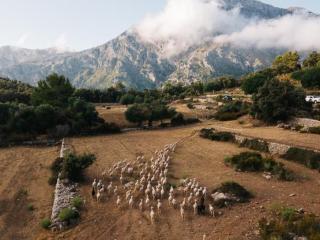 Finca Muntanya by SunVillas Mallorca - 4