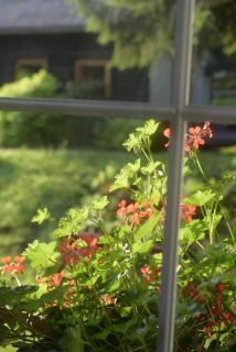 Leśne Apartamenty - Zieleniec - 9
