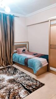 الشقق الفندقيه بعباس العقاد - Cairo - 6