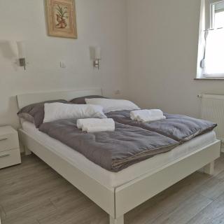 Vila Natasa Apartment 2 near Plitvice - Vrhovine - 7